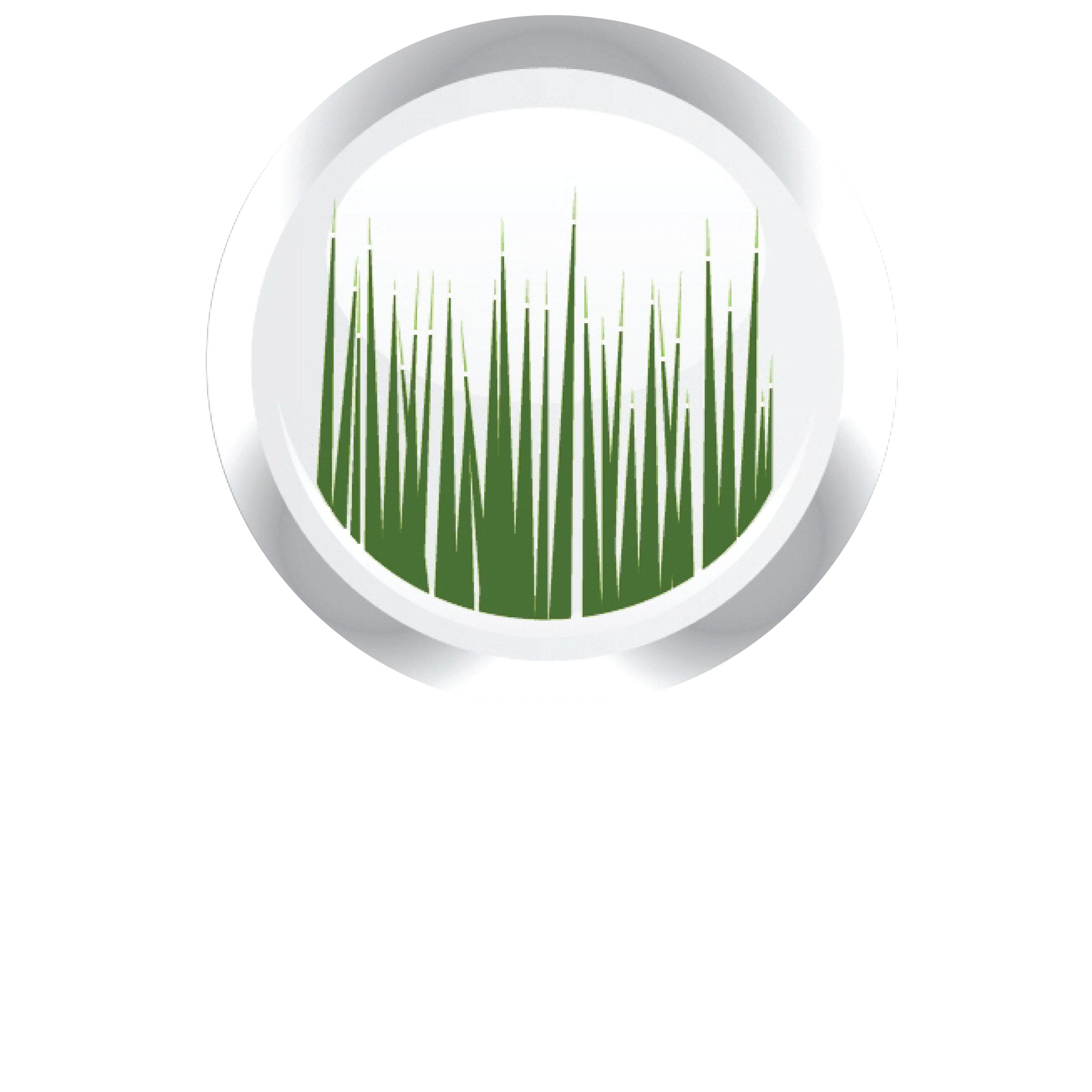 Oasis Unmatched